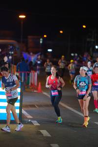 BIB: 
                            <button type="button" onclick="openModal(24254771)" class="btn btn-primary btn-sm float-right btn-popup" data-toggle="modal" data-target=".modal-high-quality">
                        <i class="fas fa-shopping-cart"></i> Add to Cart
                    </button>
                                            <button type="button" onclick="isThisMe(24254771, true)" class="btn btn-success btn-sm float-right btn-popup btn-isme hidden" data-toggle="tooltip" data-placement="bottom" title="นี่คือรูปของคุณใช่ไหม คลิกที่นี่เพื่อเอาเข้าอัลบั้ม">
                        <i class="fas fa-plus"></i> Add to album
                    </button>
                    <button type="button" onclick="isThisMe(24254771, false)" class="btn btn-warning btn-sm float-right btn-popup btn-isnotme hidden">
                        <i class="fas fa-ban"></i> Remove from album
                    </button>